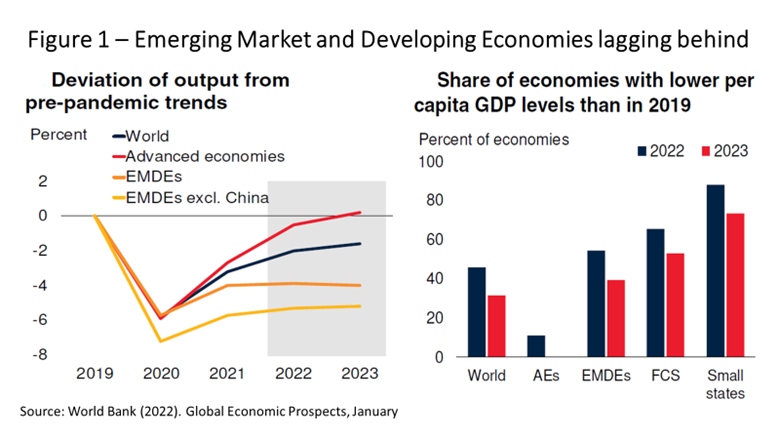 Will Emerging Economies Face a Hard Landing? – Center for ...